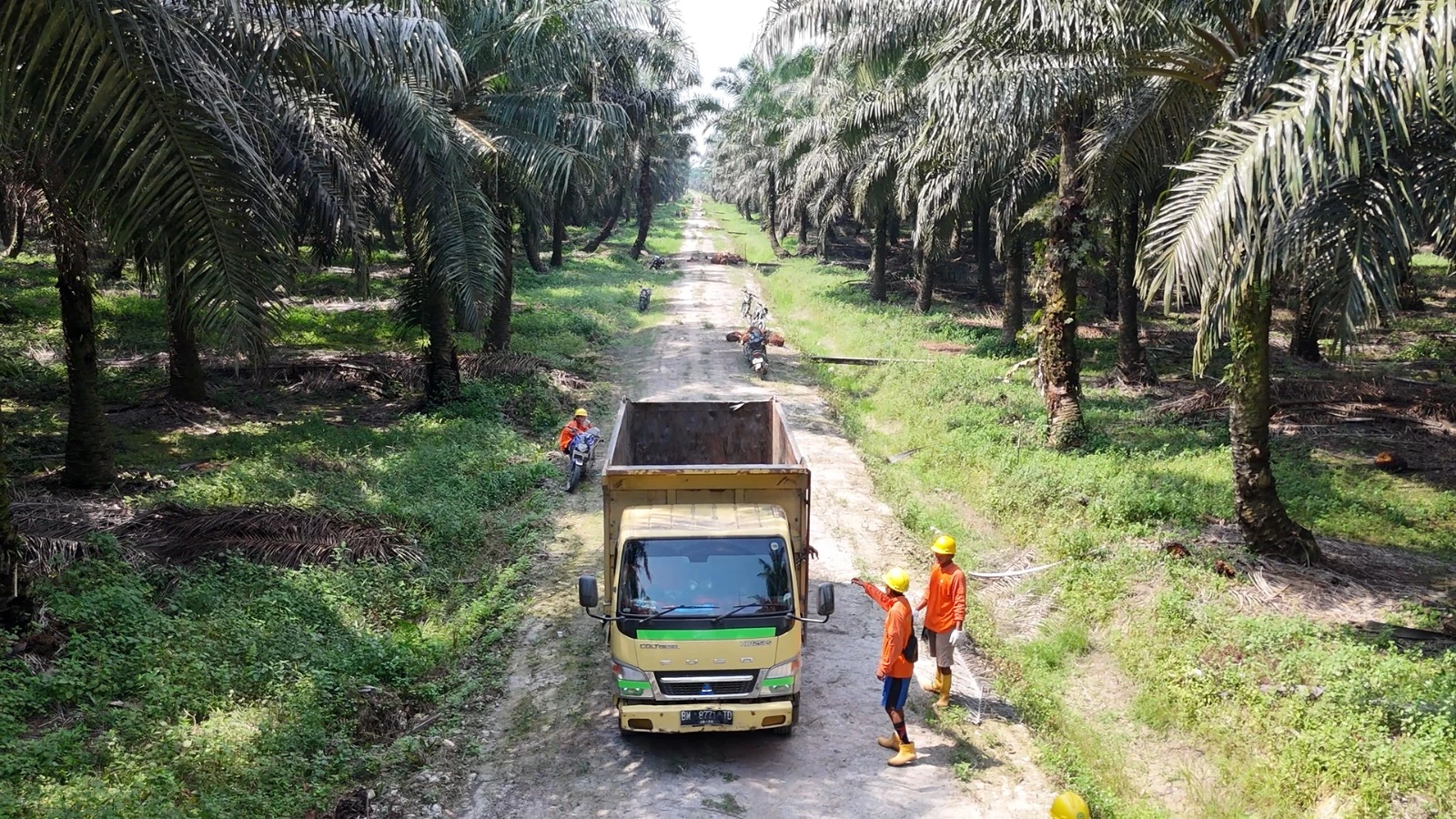 Keberlanjutan Perkebunan